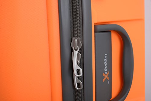 LuggageX