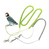 COLLBATH Parrot Training Rope Leash Kit for Agapornis Fischeri Comfortable Bird Flying Training Tool and Materials