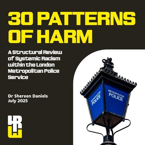 30 Patterns of Harm - Full Report