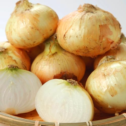 �V���܂˂� ���Y �k�`�Q�k �ʔK ���ƒ�p ��� ��� �ʂ˂� ���܂˂� (3kg)