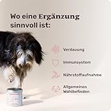 mammaly Probiotika-Drops für Hunde 340g - Verdauungssnacks für Magen Darmflora Aufbau (bei Durchfall, Sodbrennen & Gras fressen) Alternative-Leckerlie zu Heilerde, Kohletabletten als leckere Snacks