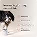 mammaly Probiotika-Drops für Hunde 340g - Verdauungssnacks für Magen Darmflora Aufbau (bei Durchfall, Sodbrennen & Gras fressen) Alternative-Leckerlie zu Heilerde, Kohletabletten als leckere Snacks