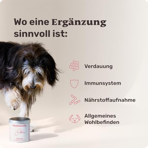 mammaly Probiotika-Drops für Hunde 340g - Verdauungssnacks für Magen Darmflora Aufbau (bei Durchfall, Sodbrennen & Gras fressen) Alternative-Leckerlie zu Heilerde, Kohletabletten als leckere Snacks