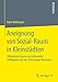 Aneignung von Sozial-Raum in Kleinst&Atilde;&curren;dten: &Atilde;ffentliche R&Atilde;&curren;ume und informelle Treffpunkte aus der Sicht junger Menschen (German Edition)