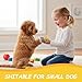 DqiUnaX Hundesocken Anti Rutsch, 5 Paar Pfotenschutz Mit Niedlichen Designs, Anti-Rutsch Socken Für Kleine Hunde, Indoor Schutz Bei Kälte Und Glatten Böden, Größe M 7,5 * 3 cm