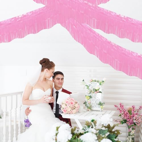 Image of LOLStar Macaron Pink Foil Fringe Tinsel Garland Streamers Banner, 6 Pack | 60Ft Tinsel Streamers, Macaron Pink Tinsel Fringe Banners for Wedding, Gender Reveal, Bachelorette, Birthday Party Decor