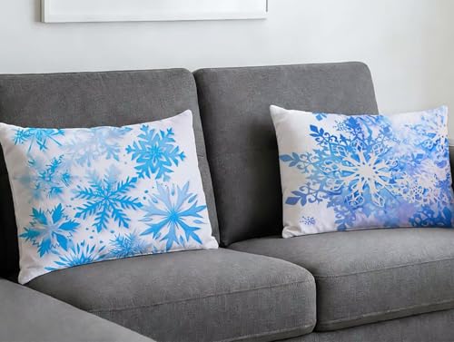 Velours coussin bleu 60x80 haut de gamme à impression recto verso