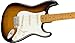 Fender Stories Collection Eric Johnson 1954 “Virginia” Stratocaster - 2-Color Sunburst Bundle with Case, Cable, Strap, and Guitar Cleaning Kit