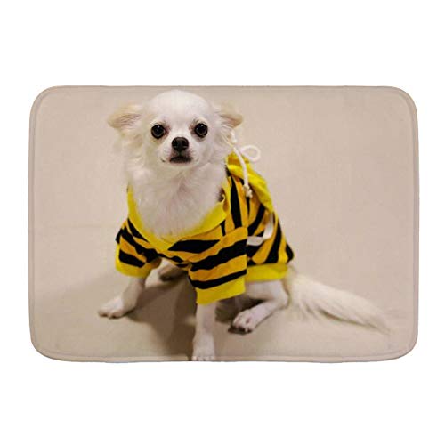 Minalo rutschfeste Badematte, Chihuahua, Chiwawa, niedlich, trendig, Sonnenlicht, gelber Stoff, Haustier, Haustier, personalisierbare Dekoration, Badezimmerteppich, 75 x 45 cm