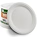 Earth's Dreams Disposable Plates [9" 100-Pack], 100% Compostable Paper Plates, Eco-Friendly Bio Sugarcane, Bonus Gift of four 6" Dessert Plates (104-Pack)