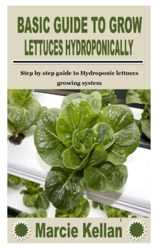 image for BASIC GUIDE TO GROW LETTUCES HYDROPONICALLY: Step by step guide to Hyd