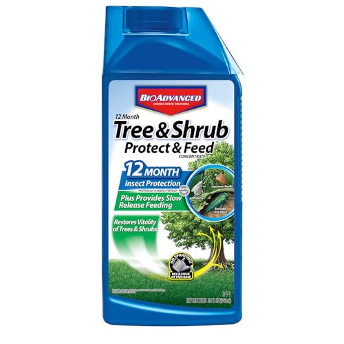 BioAdvanced 12 Month Tree and Shrub Protect and Feed, Concentrate, 32 Oz, Insect Killer and Fertilizer & Plant Food