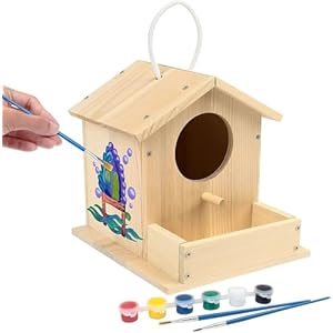 LotFancy Bird House Kits for Kids, DIY Wooden Birdhouse Building Kit, Bird Box Arts and Crafts for Kids and Adults to Build and Paint, Including Paints and Brushes