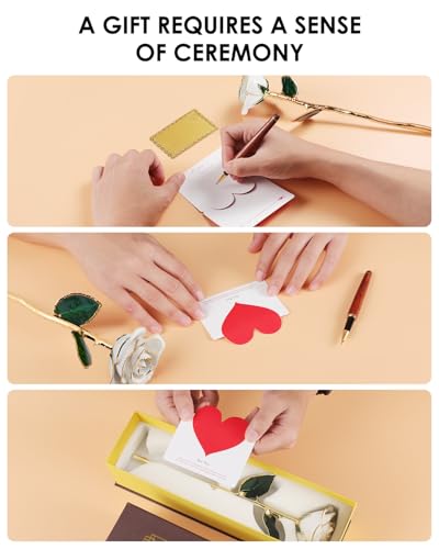 Image of 24K Gold Dipped Real Rose, Preserved Gift for Her, Ivory White