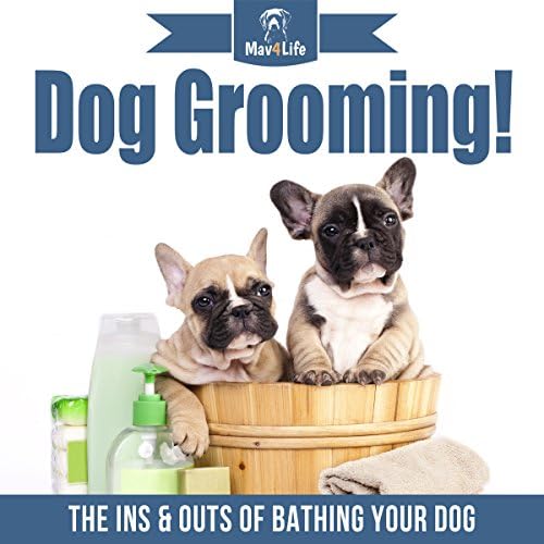 Dog Grooming! - Mav4Life