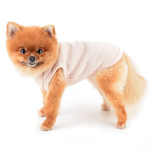 SMALLLEE_LUCKY_STORE Camiseta regata de malha waffle urso fofo para cães pequenos gatos menino menin