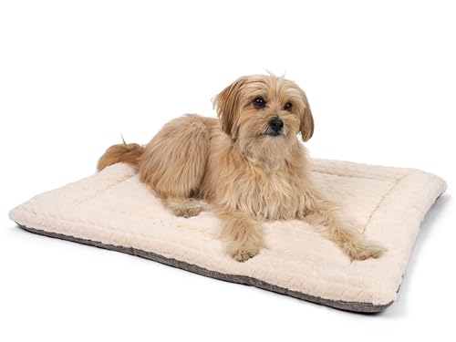 TrendPet Hundedecke Heaven gefütterte Liegedecke, Wendedecke für Hunde und Katzen, Beige