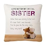 HKTNGEX to My Sister Throw Pillow Cover Gift,Elegant Poetry Cute Bear Cushion Cover Sweet Gift for Sisters Birthday Christmas Wedding Graduation Party Pillowcase Home Decor Decoration (Sister)