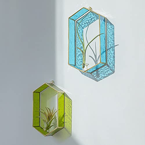 Jajamy Stained Glass Wall Planter Succulent Terrarium, 3 Packs Geometric Hexagon Hanging Air Plant Wall Mount Holder Vertical Floating Glass Planter For Minimalist Modern Decor Hanger #TOP7