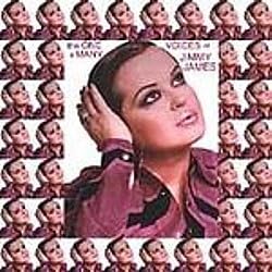 One & Many Voices Of Jimmy James Live! [Audio CD]
