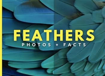 Paperback Feathers: Photos + Facts Book
