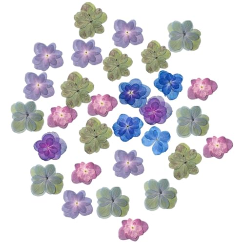 30 Flores Secas Prensadas para Manualidades DIY miniatura 1