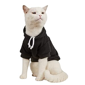 QWINEE Basic Dog Hoodie, Dog Warm Jacket, Cat Apparel, Dog Shirt, Dog Clothes for Puppy Kitten Small Medium Dogs Cats Black S