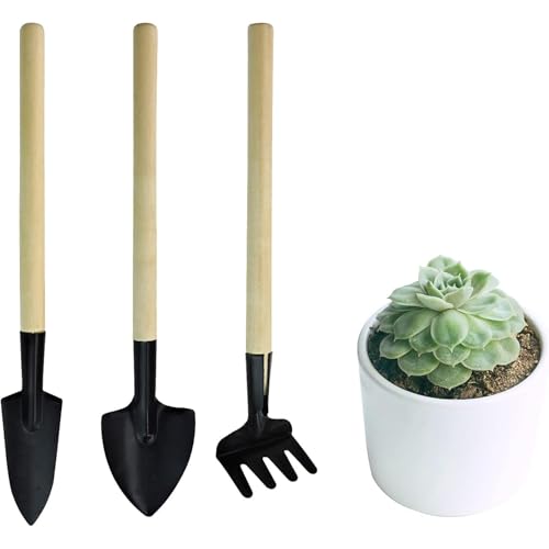Image of Premium Gardening Tools Combo - Flower Cutter /Pruner /Gardening Claw Gloves /Hand Cultivator, Big Trowel, Garden Fork (Bonsai Tool)
