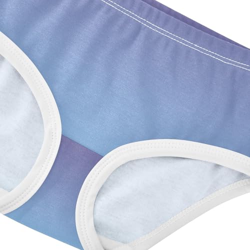 Joisal Cotton Girls Underwear Toddler Violet Sky Blue Gradient Panties for Girl Florals Underpants Briefs 2t4