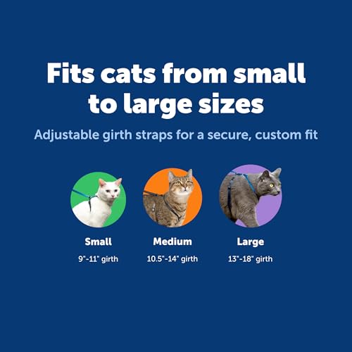 Petsafe Come With Me Kitty Harness And Bungee Leash, Harness For Cats, Small, Dusty Rose/Burgundy - 6