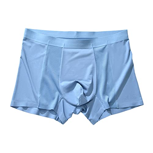 JEKE-DG Men's Mesh Ice Silk Underwear Comfortable Modal Boxer Briefs Soft Breathable Pouch Boxer Trunks Underpants (3X-Large,Blue-1pc)