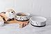 Bone Dry Pet Bowl Collection Ceramic Set, Small, Marble, 2 Count White