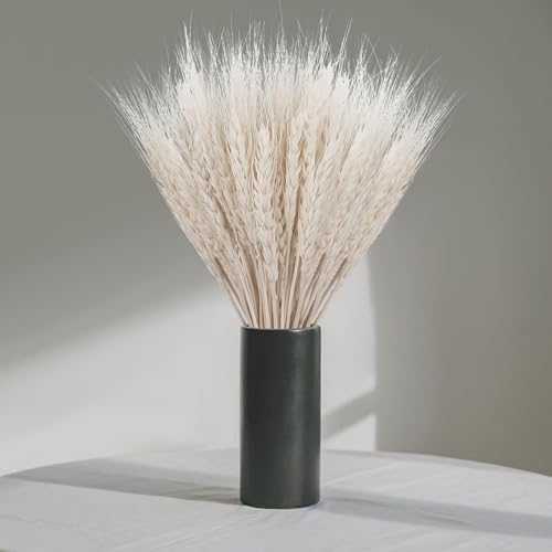 Sukh 50 Stems Dried Wheat Stalks - White Wheat Straw for Vases 13.3 in