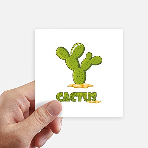 Sticker cactus succulentes vert plante verte autocollant carré de 10 cm PC