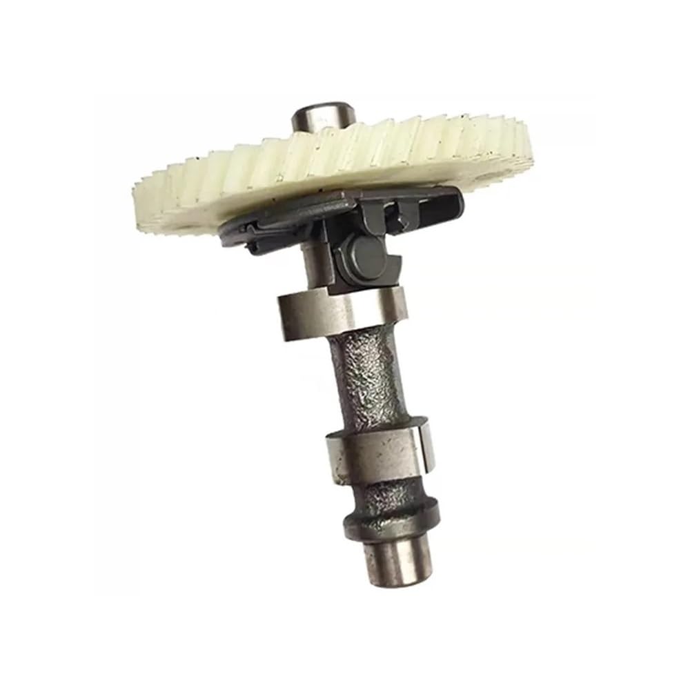 Árbol de levas de 48 dientes motor 196 CC eje vertical motocultor VP200 repuesto distribución 1P70