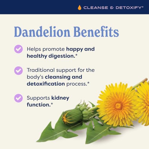 Herb Pharm Alcohol-Free Dandelion Extract