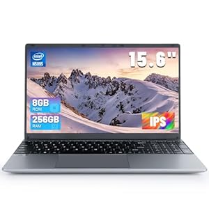 AEEZO Laptop Computer, 15.6 inch Laptop, 1366 * 768 IPS Display, Intel Celeron N5095 Processors,8GB DDR4 256GB SSD, Large Battery Capacity, 2.4G/5G WiFi, Bluetooth 4.2, Mini-HDMI