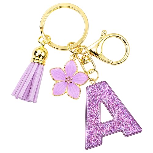 Storite Key Chain | Keyrings & Keychains for men and Women (A)