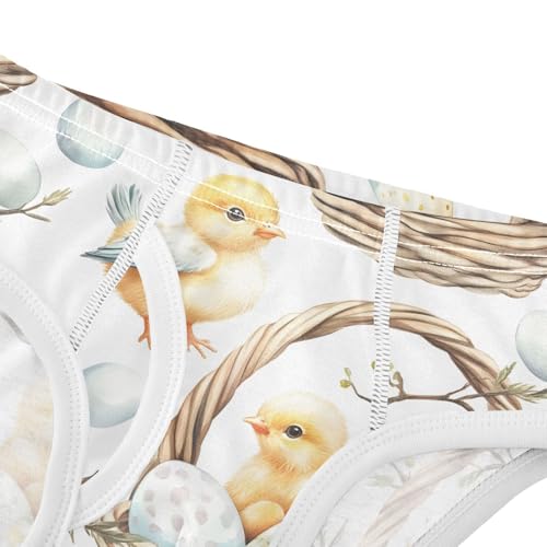 Easter Chicks Egg Toddler Boy's Underwear 2T 202b90324