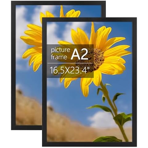 Golden State Art A2 Picture Frame Set Cover