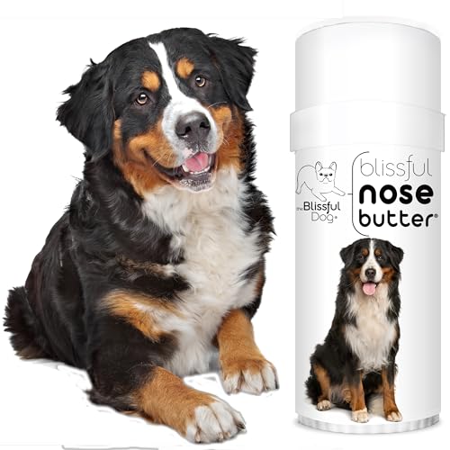Image of The Blissful Dog Bernese Mountain Nose Butter, Versatile Dog Nose Balm for Dry Nose, Handcrafted Nose Moisturizer, Easy-to-Apply Dog Essentials, Unscented, 2.25 oz.