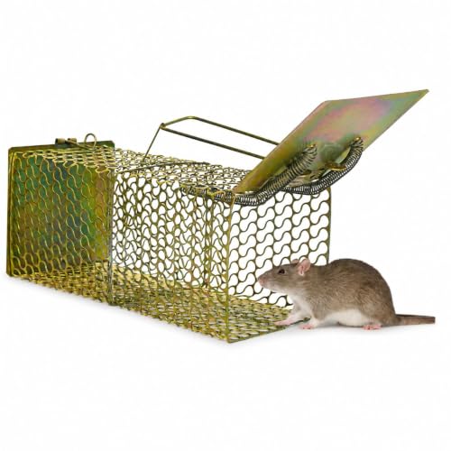 Image of Divayanshi Heavy-Duty Rat Trap - Reusable Humane Rodent Catcher for Mice & Rats, Strong Spring Mechanism, Easy to Set & Clean, Indoor & Outdoor Use (9 inch)