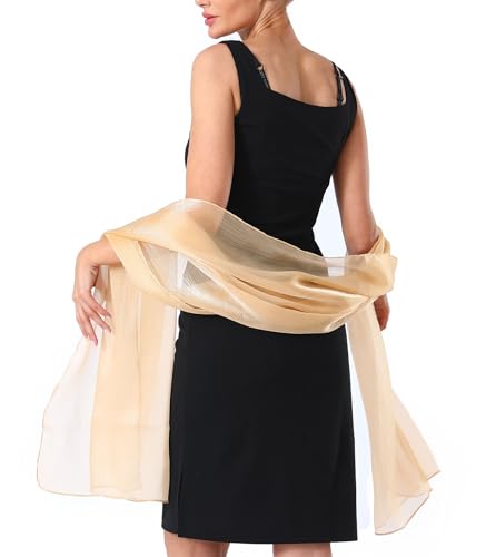Chiffon Shawls and Wraps for Women, Elegant Sheer Shawls for Formal Evening, Soft Wedding Brides Scarf2