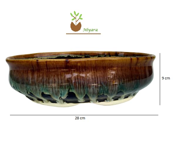 Image of Niyara Stylish Shiny Bonsai Ceramic Pots Planters for Indoor Plants, Succulent, Outdoor, Balcony, Home, Garden, Office Shape- Oval Brown (Bonsai Set of 1)