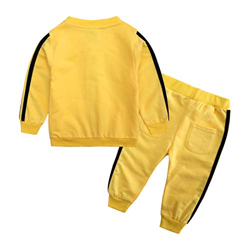 Baby Boys Girls Cotton Tracksuit Sweatshirt Top + Sweatpants Zipper Coat Outfits Set2