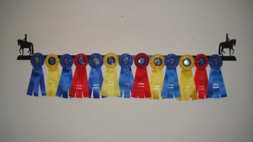 Showoff Black 14ga Steel Award Rack - Horse, Wall Mount or Stall Mount, USA Made