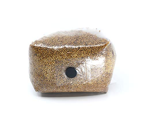 North Spore Sterilized Grain Bag with Injection Port (3lbs) | Home-Made Mushroom Spawn of Any Species | All You Need is a Spore Syringe (not Included) | Better Substrate Than Rye Berries (1)