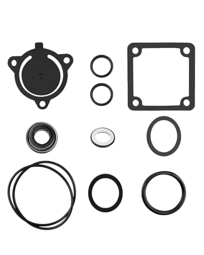 10PCS Pump Gasket O-Ring Seal Kit Fit for Honda/Red Lion/Champion/DuroMax/Pulsar/Generac 2Inch Trash Pump Replace 100742 100113