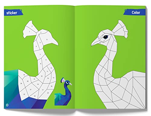 Image of Color with Sticker - Birds Adventure
