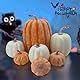 DOJoykey 7 Stück gelbe und weiße Großer künstlicher Kürbis für Herbstkränze, Herbst-Haustisch, Erntedankfest, Halloween-Party-Dekoration